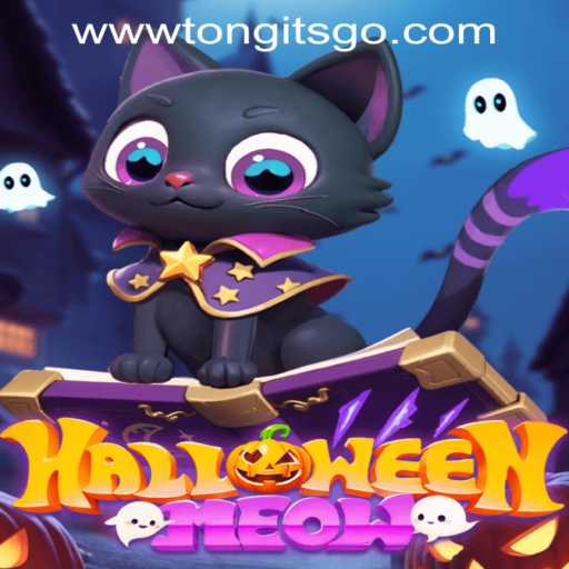 HalloweenMeow – The Spooky Card Game Sensation